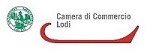 Logo CCIAA_LO